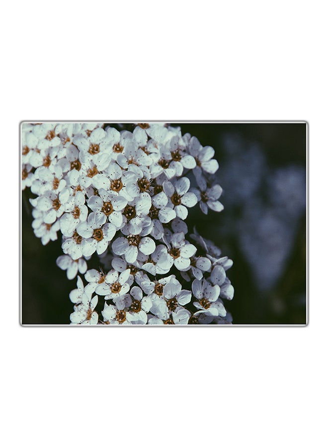 فاست برينت لوحة فنية مطبوعة للزينة متعدد الألوان 29.7x21سم