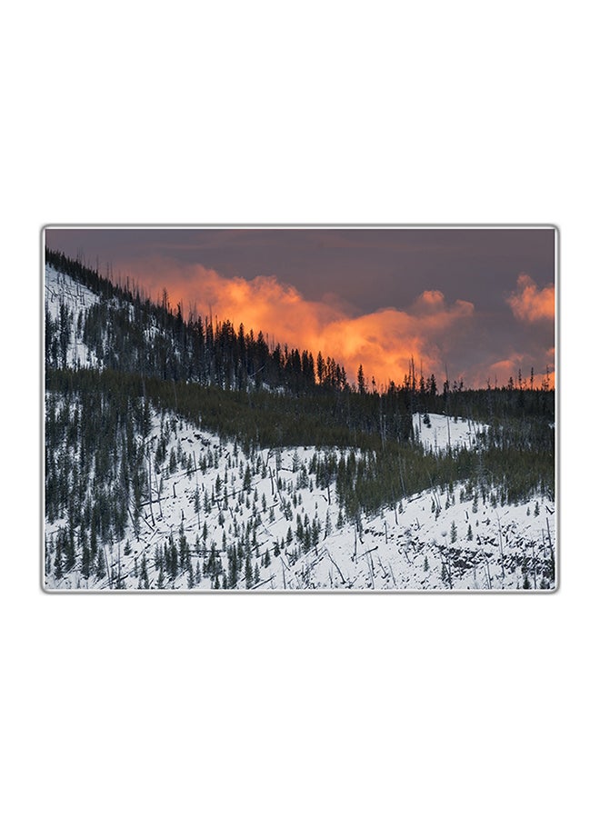 Fast Print Decorative Printed Tableau Painting Multicolour 29.7x21cm