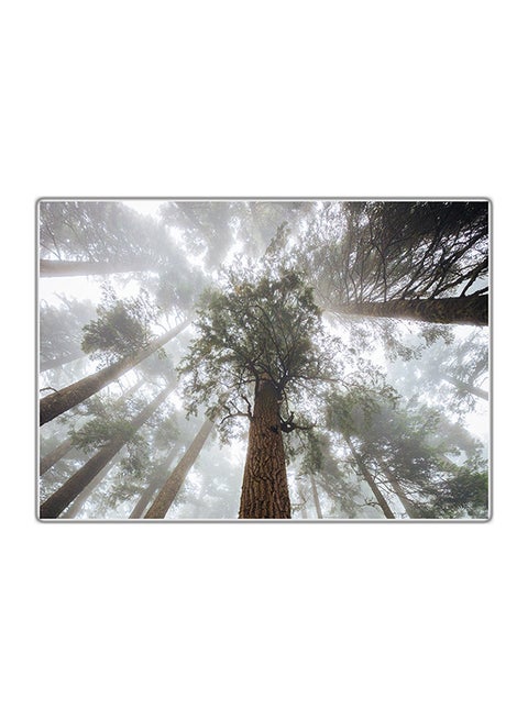 Decorative Printed Tableau Painting Multicolour