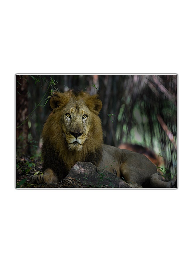 Fast Print Decorative Printed Tableau Painting Multicolour 29.7x21cm