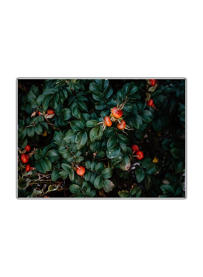 فاست برينت لوحة فنية مطبوعة للزينة متعدد الألوان 21x14.8سم