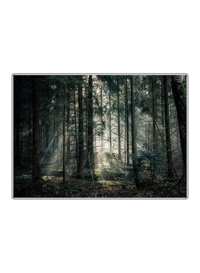 لوحة فنية مطبوعة للزينة متعدد الألوان 29.7x21سم