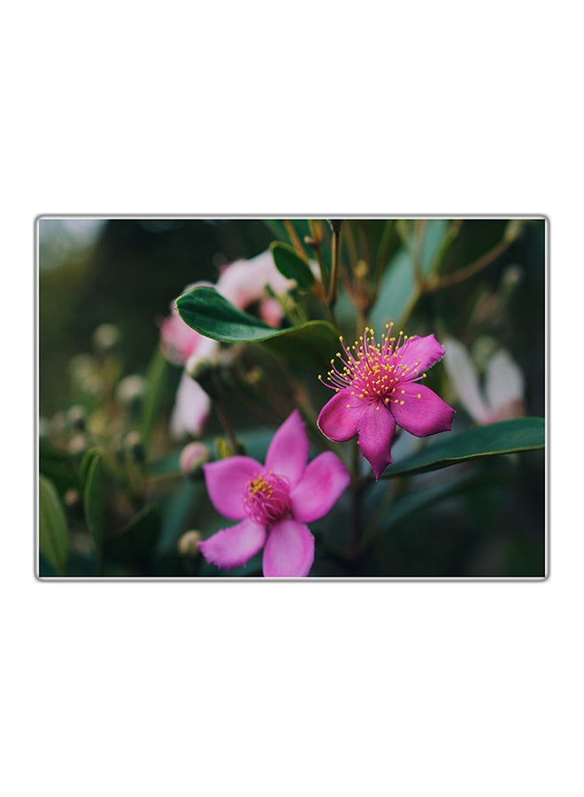 Fast Print Decorative Printed Tableau Multicolor 21x14.8cm