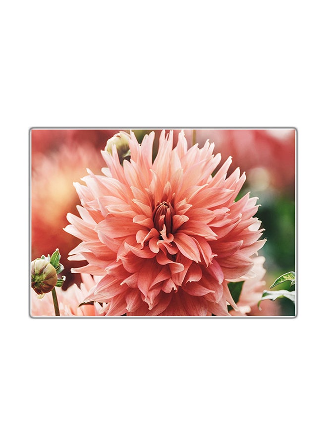 فاست برينت لوحة فنية مطبوعة للزينة متعدد الألوان 21x14.8سم