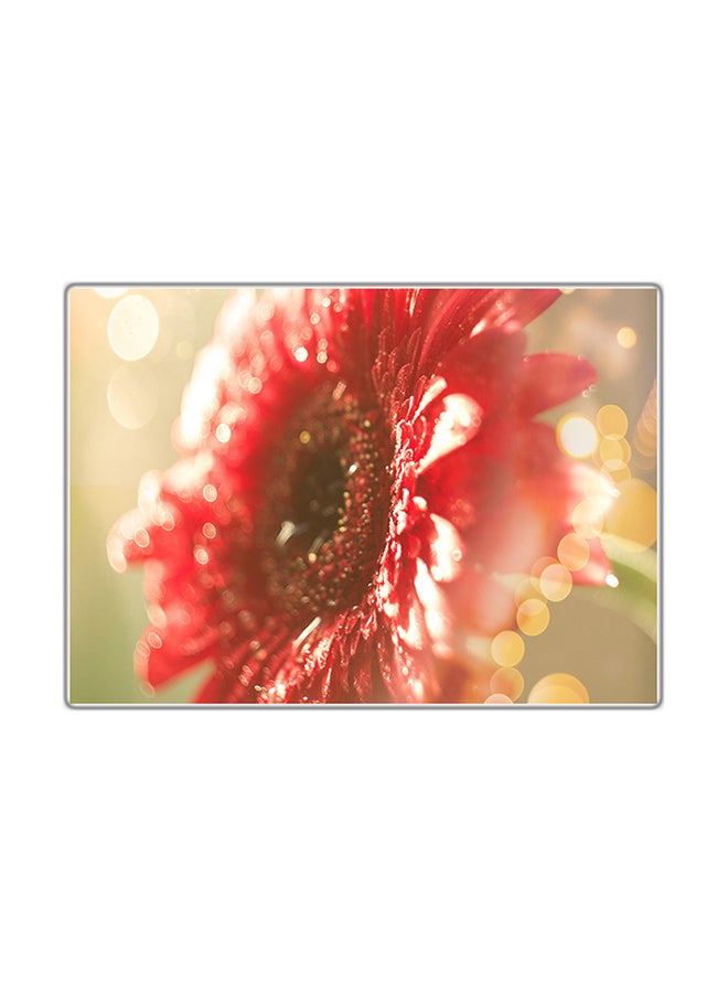 Fast Print Decorative Printed Tableau Multicolor 21x14.8cm