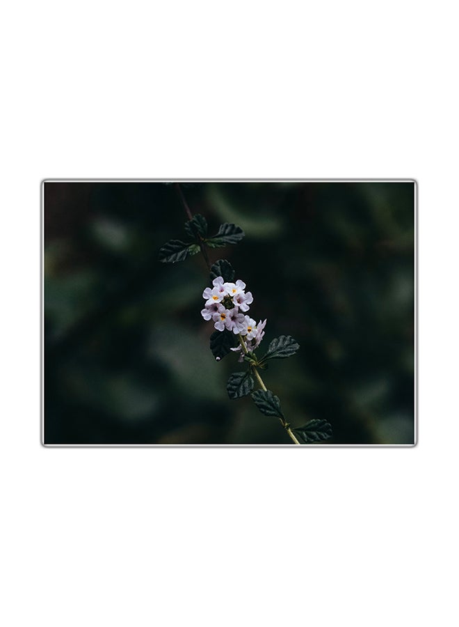 Fast Print Decorative Printed Tableau Multicolour 21x14.8cm