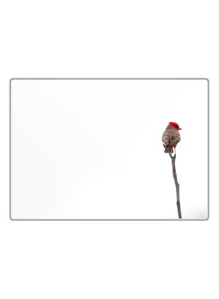 Decorative Printed Tableau Multicolor 29.7x21cm - v1575030906/N32361220A_1