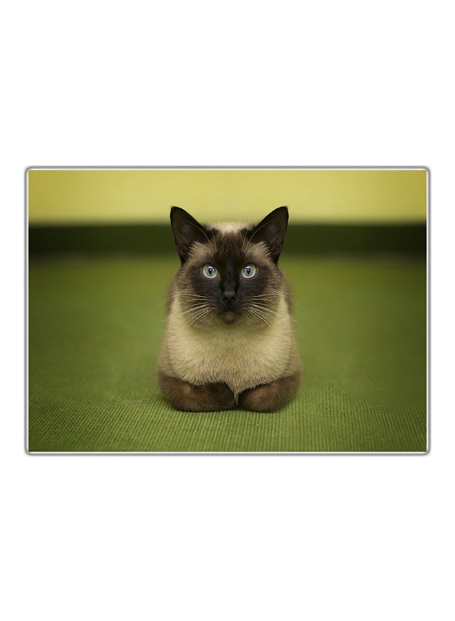 لوحة فنية مطبوعة للزينة متعدد الألوان 29.7x21سم