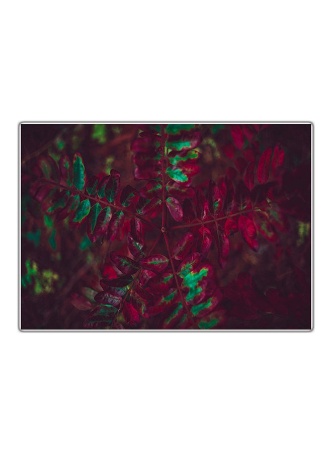 لوحة فنية مطبوعة للزينة متعدد الألوان 29.7x21سم