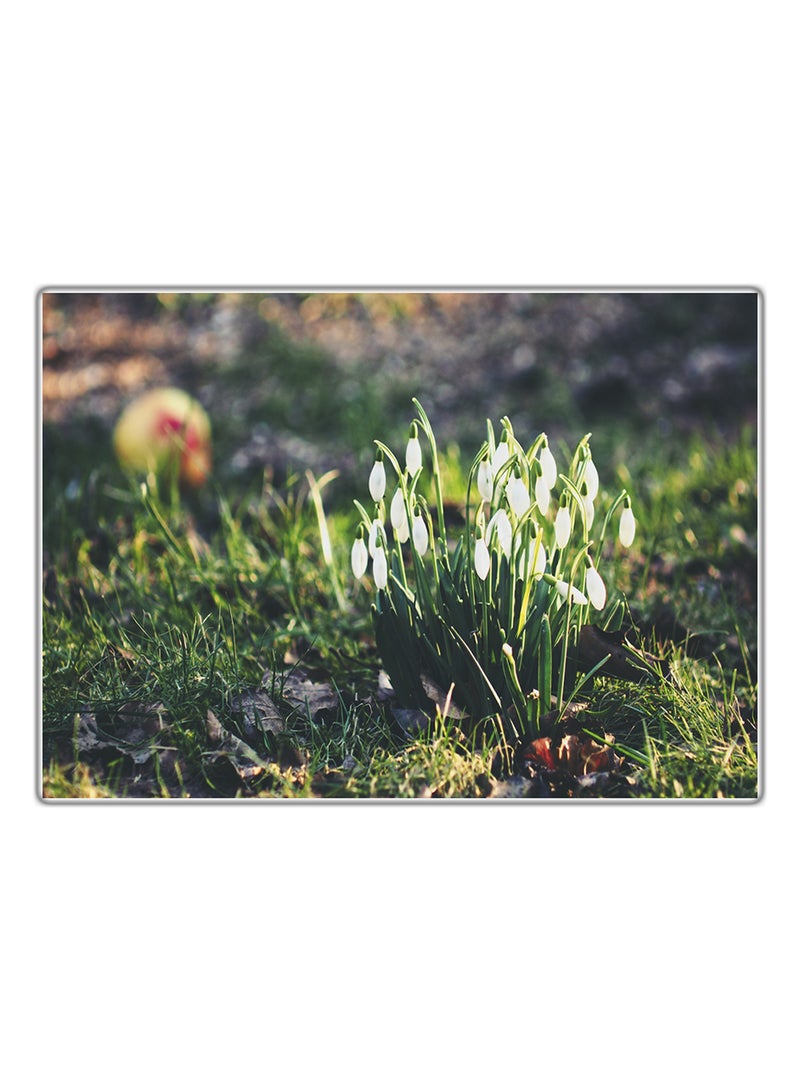 فاست برينت لوحة فنية مطبوعة للزينة متعدد الألوان 29.7x21سم