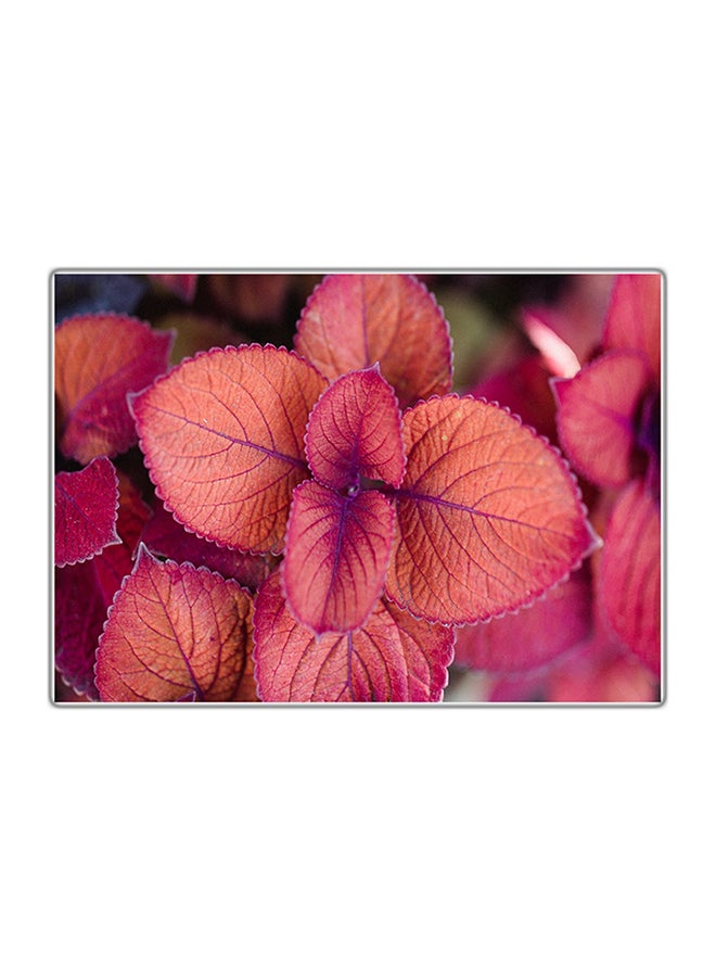 Fast Print Decorative Printed Tableau Multicolor