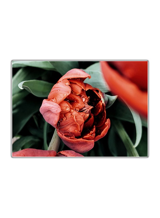 لوحة فنية مطبوعة للزينة متعدد الألوان 14.8x10.5سم