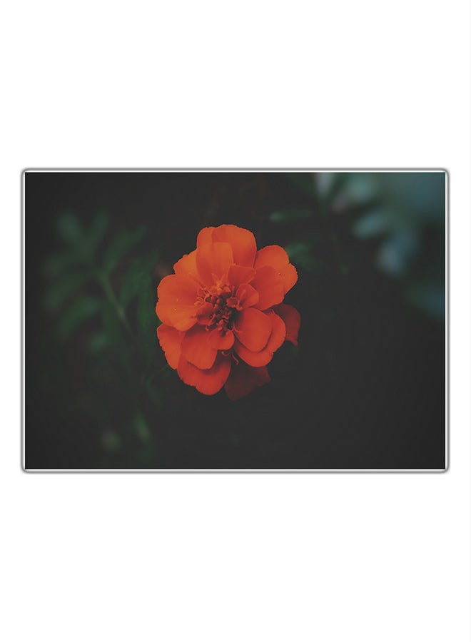 فاست برينت لوحة فنية مطبوعة للزينة متعدد الألوان 29.7x21سم