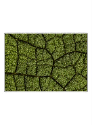 Decorative Printed Tableau Multicolor 21x14.8cm - v1575049217/N32367338A_1