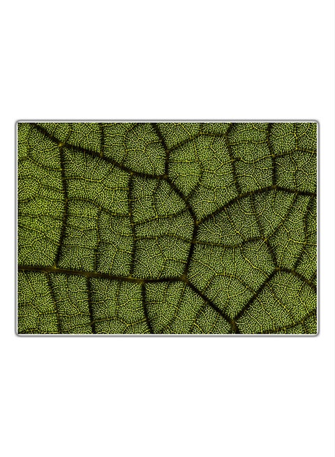 Decorative Printed Tableau Multicolor 21x14.8cm