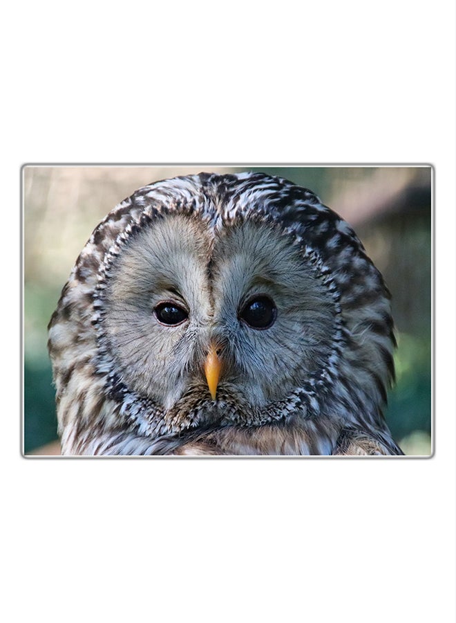 لوحة فنية مطبوعة للزينة متعدد الألوان 21x14.8سم