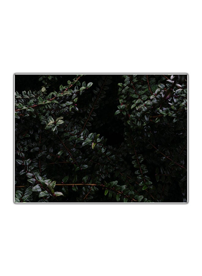 Fast Print Decorative Printed Tableau Multicolour