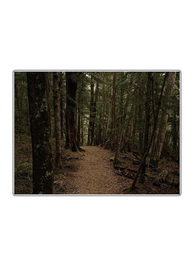 Fast Print Decorative Printed Tableau Multicolour