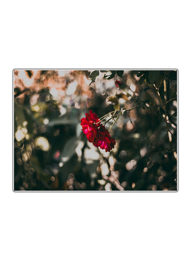 Fast Print Decorative Printed Tableau Painting Multicolor