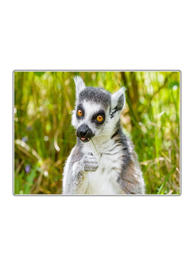 فاست برينت لوحة فنية مطبوعة للزينة متعدد الألوان 14.8x10.5سم