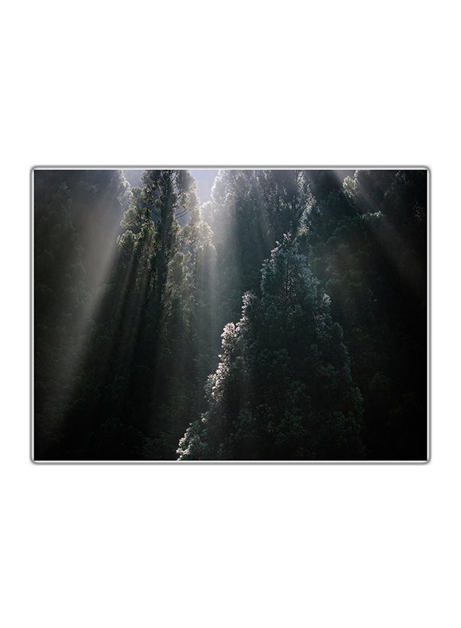 Fast Print Decorative Printed Tableau Multicolour 14.8x10.5cm