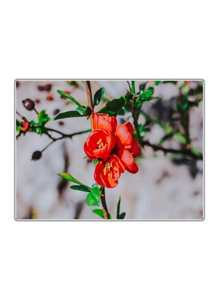 Decorative Printed Tableau Multicolour 14.8x10.5cm - v1575050114/N32390700A_1