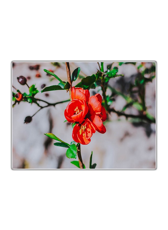 Decorative Printed Tableau Multicolour 14.8x10.5cm