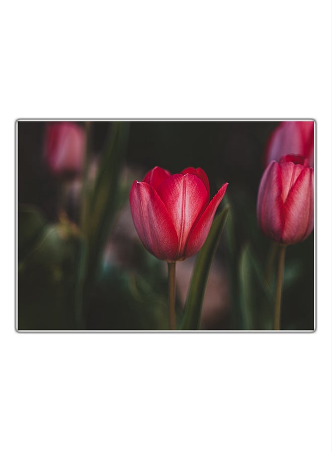 لوحة فنية مطبوعة للزينة متعدد الألوان 21x14.8سم