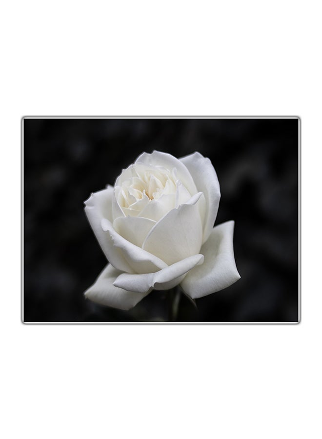 لوحة فنية مطبوعة للزينة متعدد الألوان 14.8x10.5سم