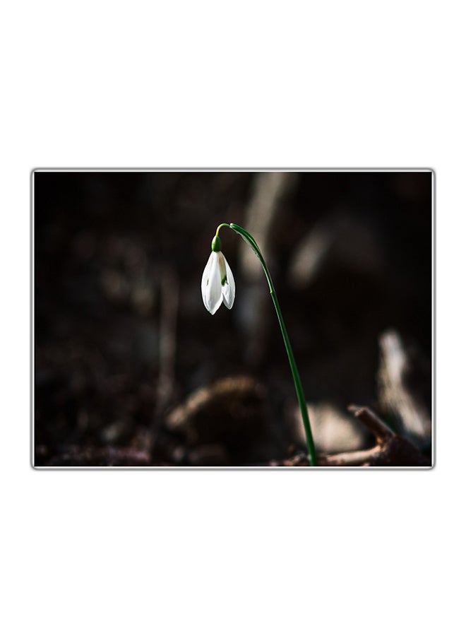 فاست برينت لوحة فنية مطبوعة للزينة متعدد الألوان 14.8x10.5سم