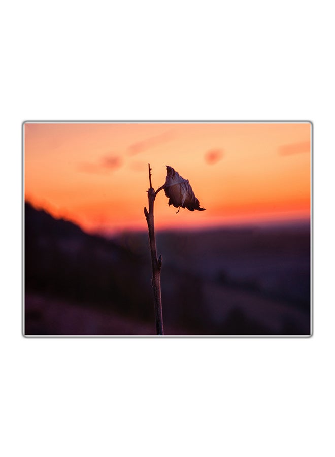 Fast Print Decorative Printed Tableau Multicolour