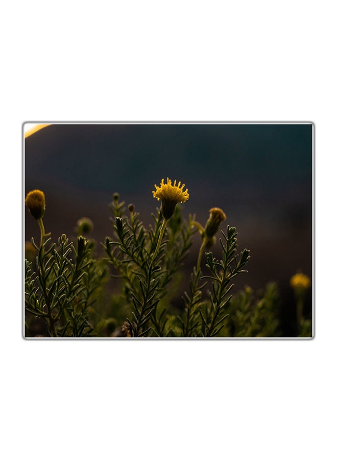 Fast Print Decorative Printed Tableau Painting Multicolour 14.8x10.5cm