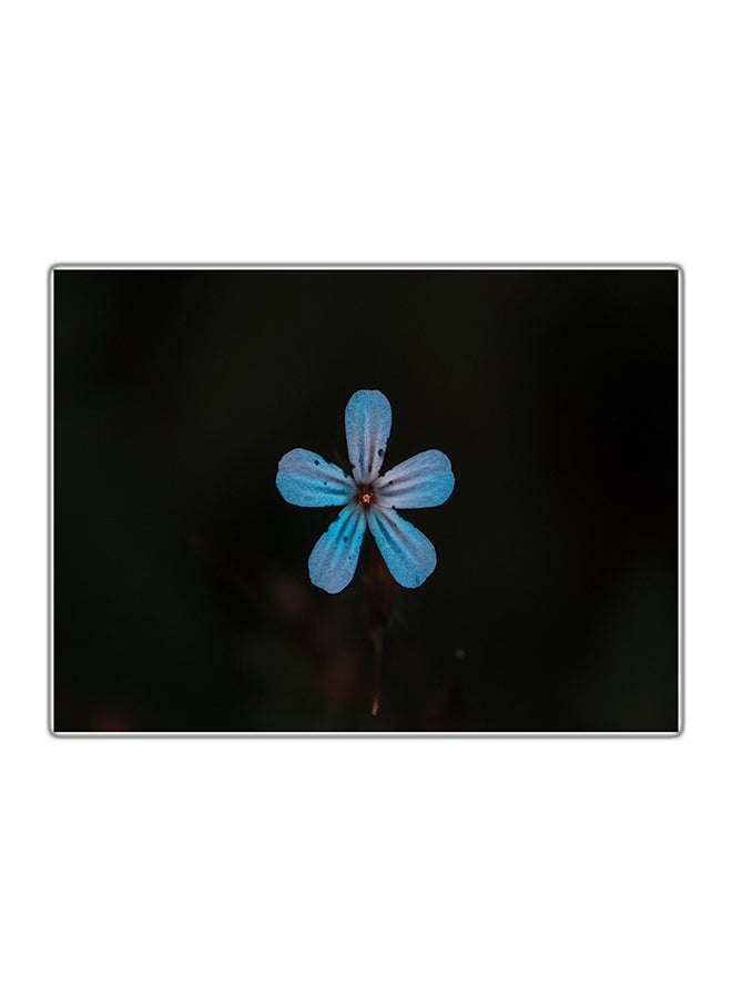 Fast Print Decorative Printed Tableau Painting Multicolour 14.8x10.5cm