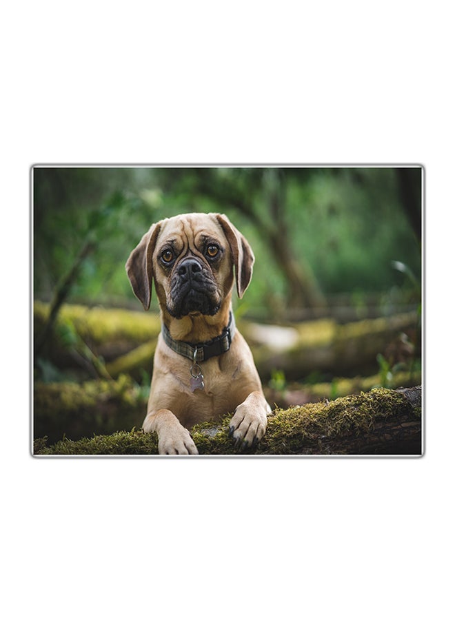 Decorative Printed Tableau Painting Multicolour 14.8x10.5cm