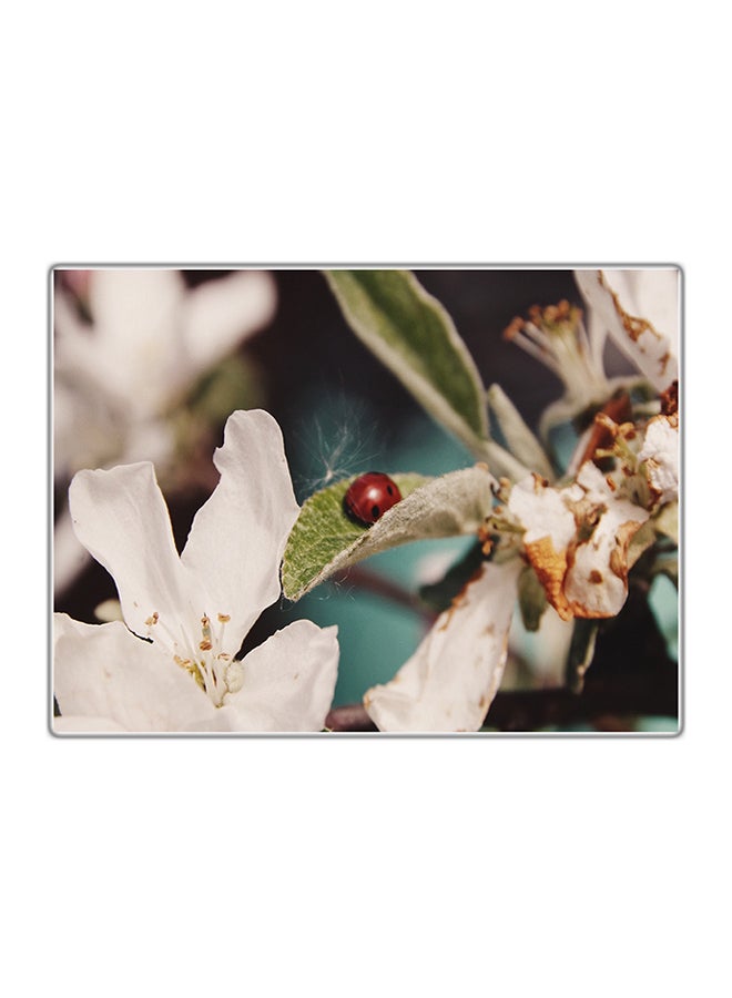 لوحة فنية مطبوعة للزينة متعدد الألوان 14.8x10.5سم