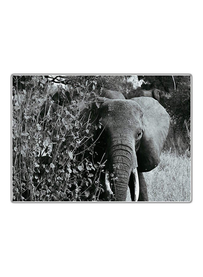 Fast Print Decorative Printed Tableau Multicolour 14.8x10.5cm