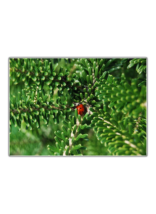 لوحة فنية مطبوعة للزينة متعدد الألوان 14.8x10.5سم