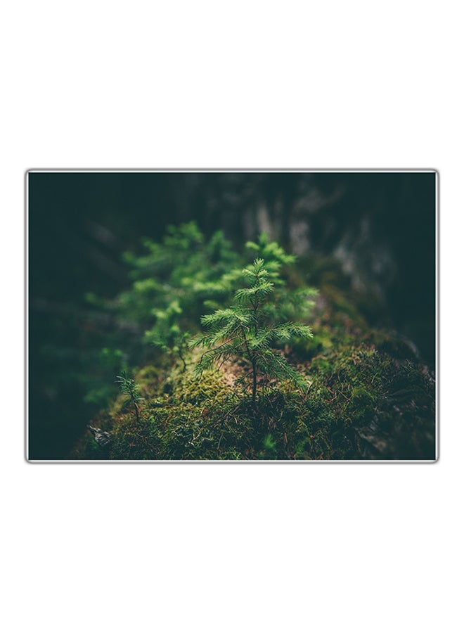 Fast Print Decorative Printed Tableau Multicolour