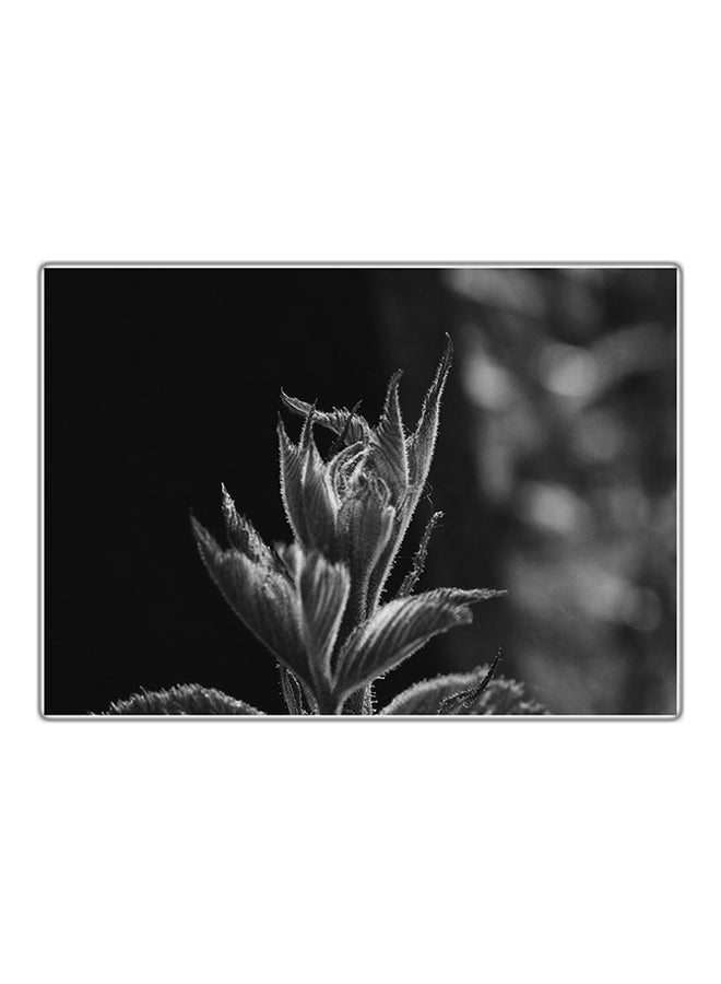 لوحة فنية مطبوعة للزينة متعدد الألوان 29.7x21سم