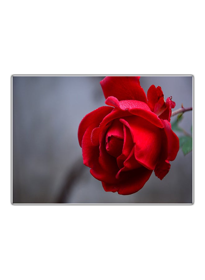 Fast Print Decorative Printed Tableau Multicolour 21x14.8cm