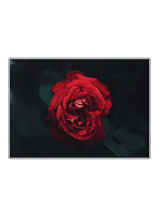 Fast Print Decorative Printed Tableau Painting Multicolour 21x14.8cm