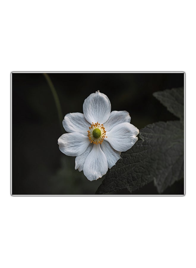 Fast Print Decorative Printed Tableau Painting Multicolour 14.8x10.5cm