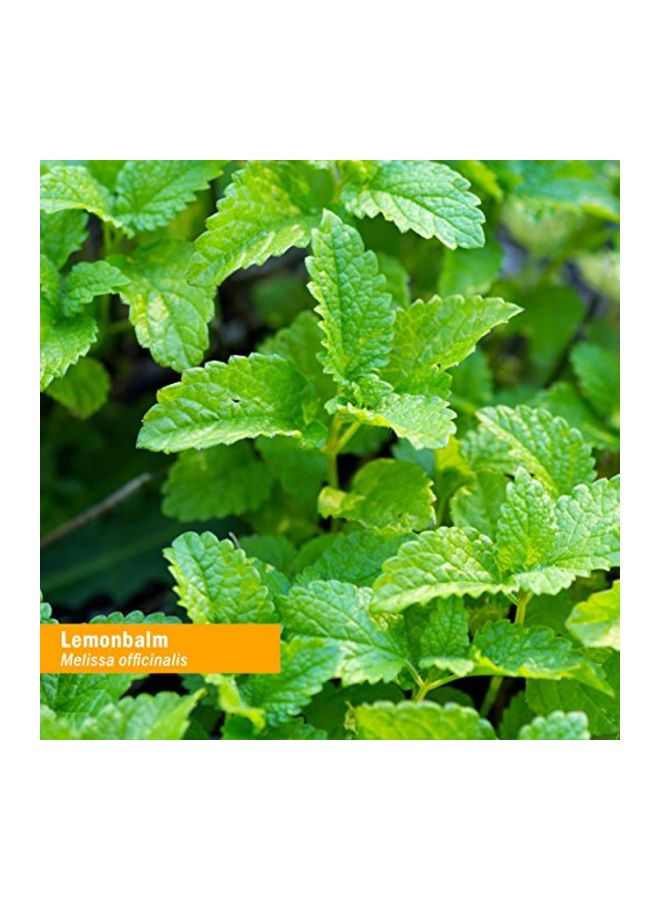 HERB PHARM Lemon Balm Herbal Supplement - Image 2