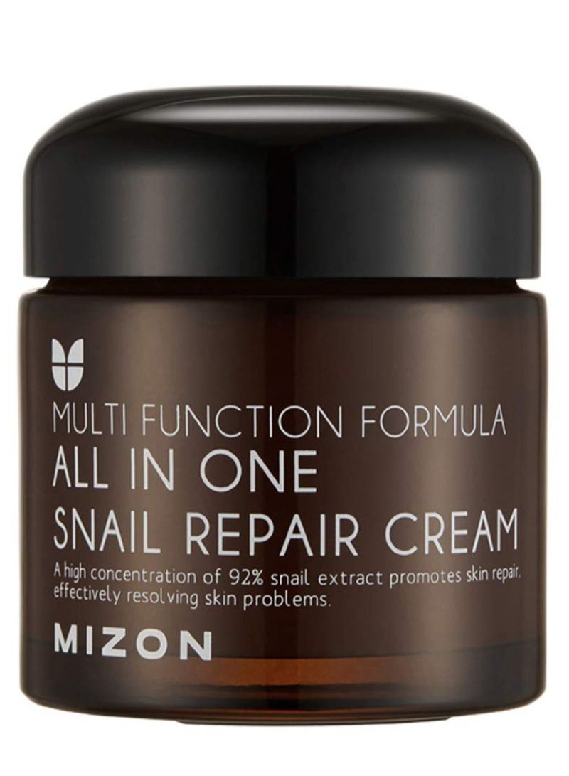 MIZON All In One Snail Repair Cream 75ml - Image 1