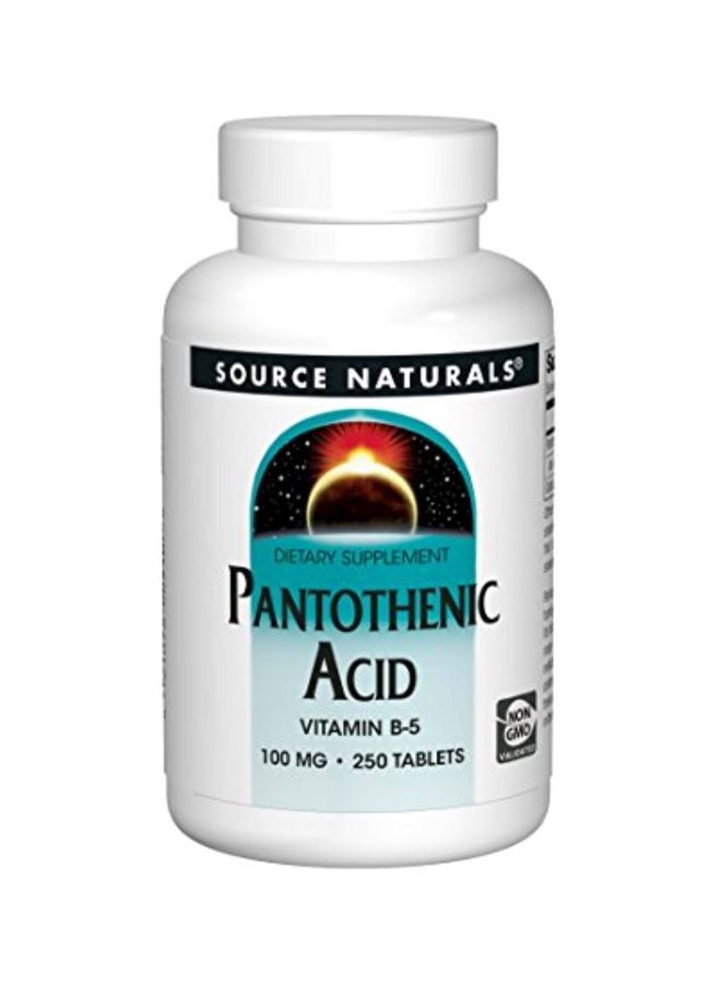 Source Naturals Pantothenic Acid Vitamin B-5 Dietary Supplement 100mg - 250 Tablets - Image 1