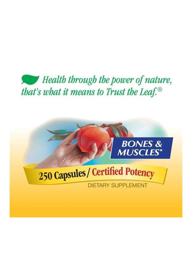 Nature's Way - Pack Of 2 Calcium Citrate Carbonate And Malate Dietary Supplement 500mg - 250 Capsules - Image 1