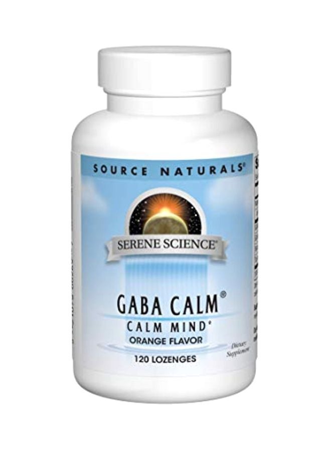 Source Naturals Gaba Calm Dietary Supplement 125mg - 120 Lozenges - Image 1