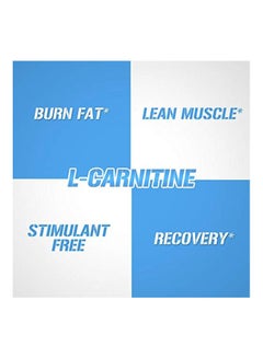 Evlution L-Carnitine 500 mg - 120 Capsules  - Image 4
