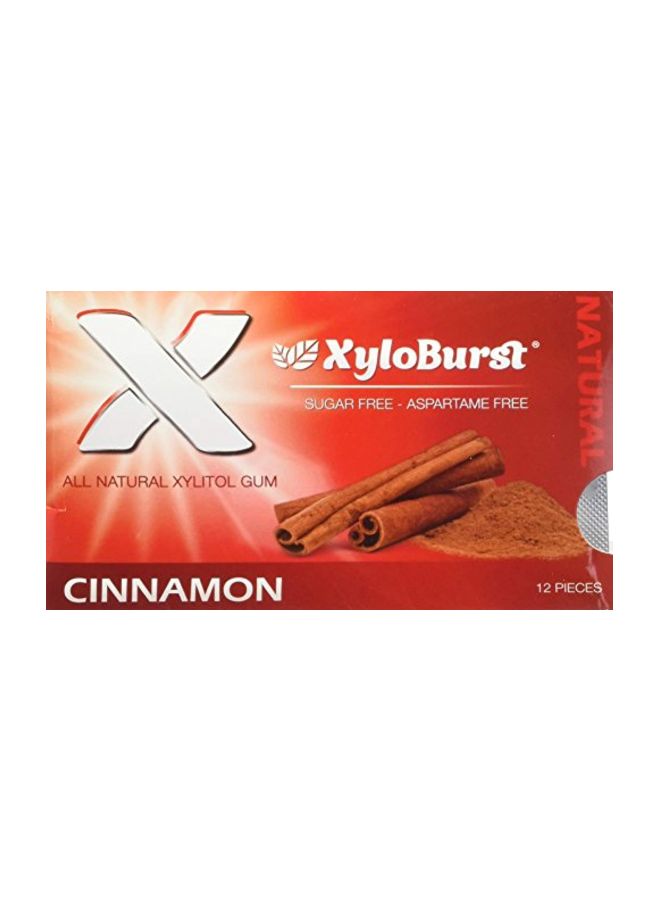Xyloburst Xylitol Gum Cinnamon - 12 Gummies  - Image 1