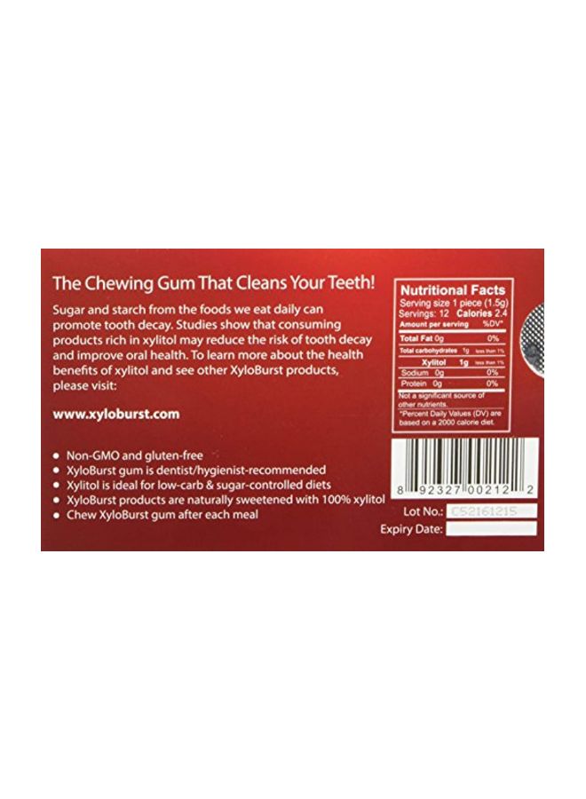 Xyloburst Xylitol Gum Cinnamon - 12 Gummies  - Image 2
